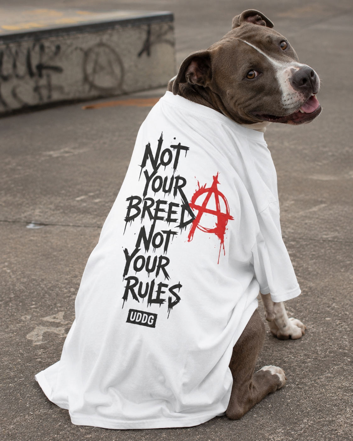 UDDG Noise Series 03 – Not Your Breed. Not Your Rules. White Punk T-Shirt